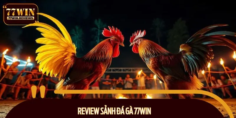 Tổng quan về sảnh đá gà 77WIN