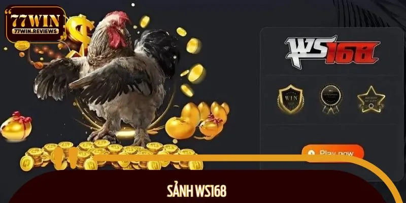 Sảnh WS168 được nhiều cược thủ tin chọn