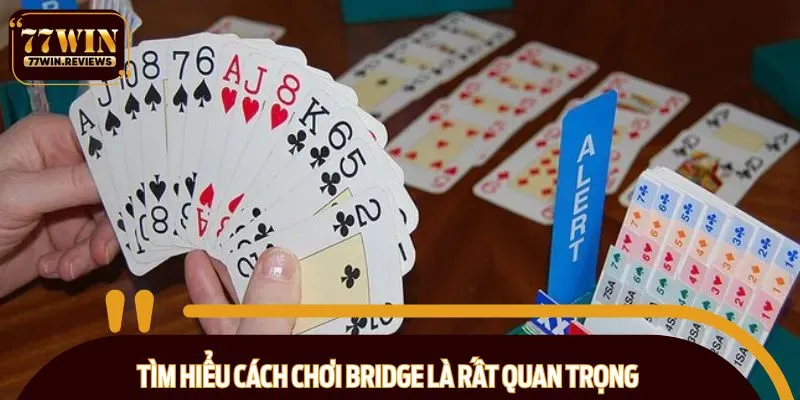 Tìm hiểu cách chơi Bridge là rất quan trọng