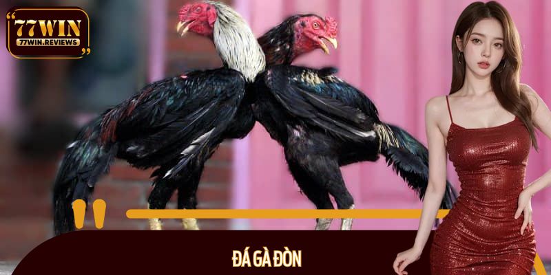 Đá gà đòn