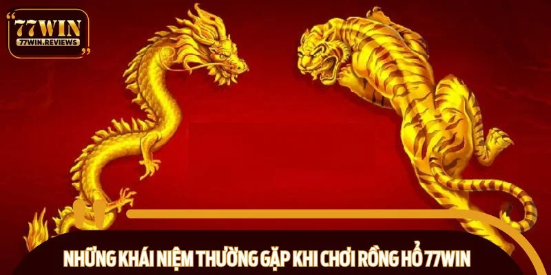 Những khái niệm thường gặp khi chơi Rồng hổ 77WIN
